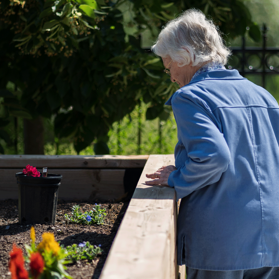 Senior Gardening